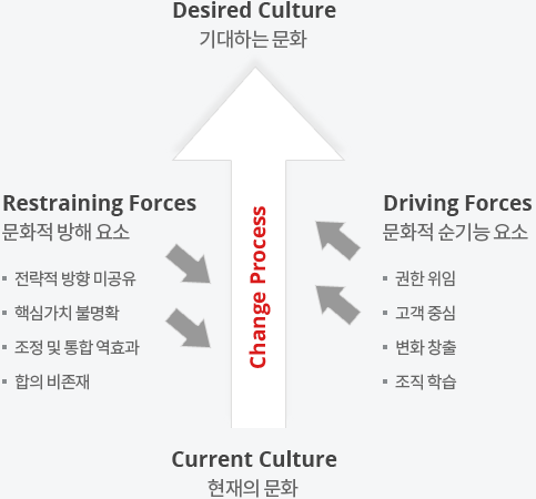 문화적방해요소 및 문화적순기능요소