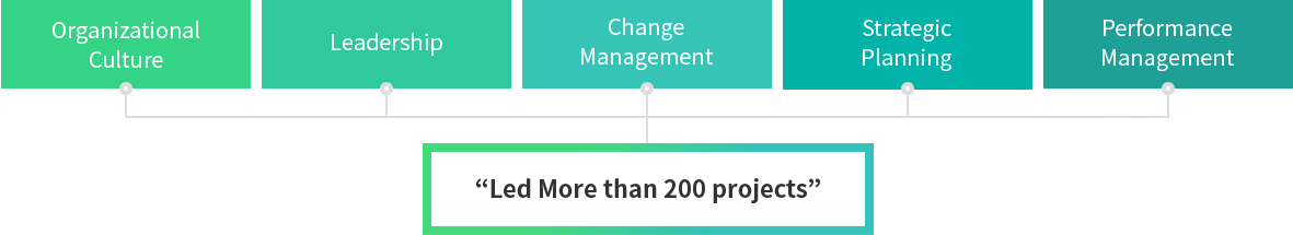 Organizational Culture, Leadership, Change Management, Strategic Planning, Performance Management -> Led More than 200 projects