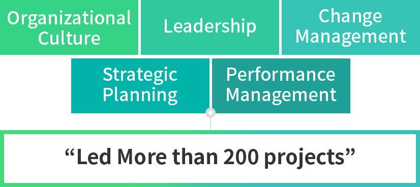 Organizational Culture, Leadership, Change Management, Strategic Planning, Performance Management -> Led More than 200 projects